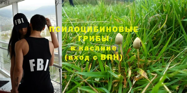 PSILOCYBIN Богородицк