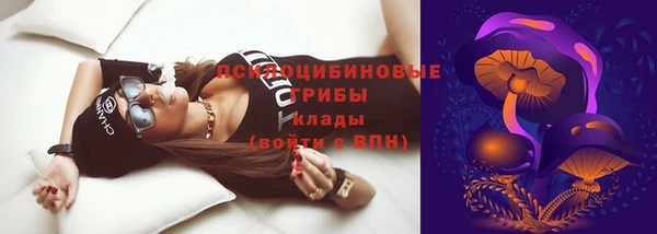 амф Богданович