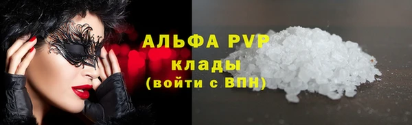 амф Богданович