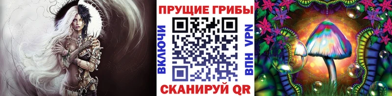 Галлюциногенные грибы GOLDEN TEACHER  наркошоп  мега вход  Смоленск 